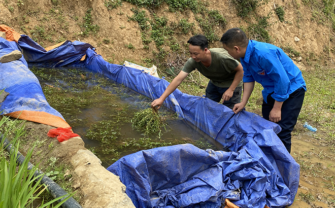 Đồng bào Mông xã Khao Mang, huyện Mù Cang Chải tạo các bể chứa nước ở đầu nguồn nước, gần ruộng để cho cá đẻ.