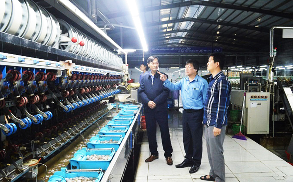 Nhà máy chế biến kén tằm của Công ty cổ phần Dâu tằm tơ Yên Bái đi vào hoạt động đã thu mua toàn bộ lượng kén tằm trong huyện với giá ổn định.