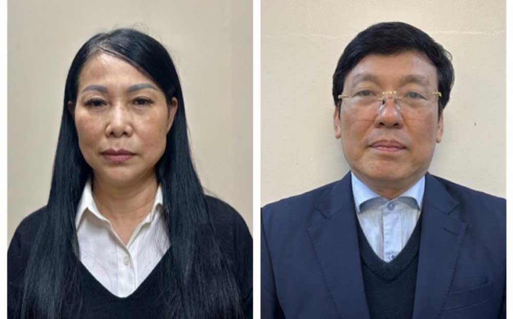 Bị can Hoàng Thị Thuý Loan và bị can Lê Duy Thành bị khởi tố bắt tạm giam về tội 