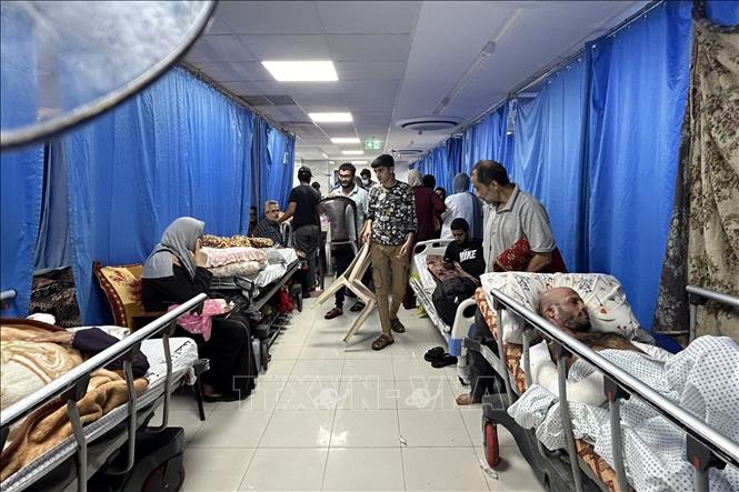Bệnh nhân được điều trị tại bệnh viện Al-Shifa ở Gaza.