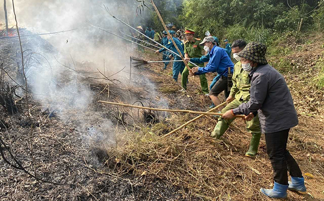 Trấn Yên tổ chức diễn tập phòng cháy chữa cháy rừng tháng 10/2023. Ảnh minh họa