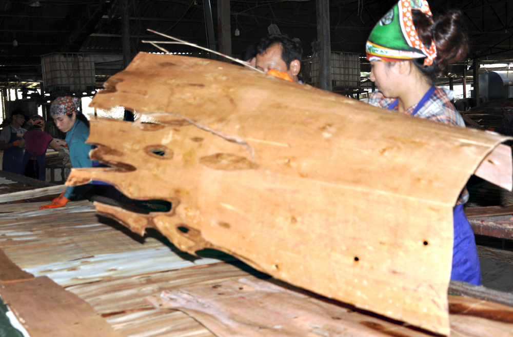 Workers at Yen Thanh joint Stock Company (Yen Binh district) operating on the production line.