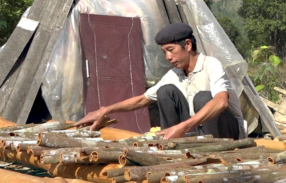 Residents of Ta Lanh Village, Nam Lanh Commune, actively engage in economic activities, striving for sustainable poverty alleviation.
