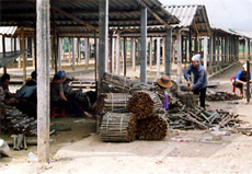Nông dân xã Tân Đồng (Trấn Yên) khai thác quế.
Ảnh: T.L