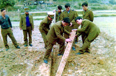 Đội QLTT bắt giữ gỗ pơmu các đối tượng buôn lậu chôn giấu dưới đất.
