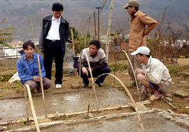 Đồng chí Nguyễn Văn Khánh (ngồi giữa) - Chủ tịch UBND huyện Mù Cang Chải thăm hỏi động viên cán bộ kỹ thuật và đoàn thanh niên đang giúp dân chăm sóc mạ.