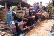 Khuyến nông viên của Trạm Khuyến nông huyện Mù Cang Chải hướng dẫn bà con xã Nậm Có ủ thóc giống làm mạ. (Ảnh: Sùng A Hồng)


