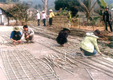 Đoàn viên thanh niên xã Việt Cường, huyện Trấn Yên giúp Trạm Y tế xã làm vườn thuốc nam. (Ảnh: Thanh Chi)
