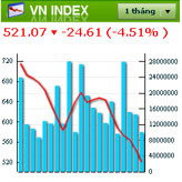 VN-Index vẫn tiếp tục đà giảm mạnh.