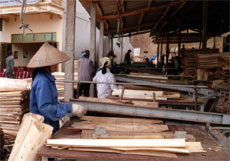 Các cơ sở sản xuất chế biến gỗ rừng trồng đang phát huy hiệu quả, đóng góp lớn trong giá trị sản xuất công nghiệp hàng năm của huyện Yên Bình.

