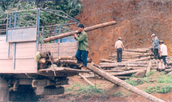 Nhờ có hệ thống đường giao thông tốt nên nông dân xã Hưng Khánh (Trấn Yên) thuận tiện trong khai thác gỗ rừng trồng. 
