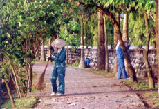 Công nhân Công ty Công trình và Môi trường đô thị làm vệ sinh tại khu vực Công viên Yên Hòa (thành phố Yên Bái).
