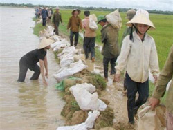 Bà con nông dân Lệ Thủy sửa chữa đê bao sau mưa.