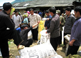 Nhân dân xã Trạm Tấu (Trạm Tấu) nhận phân bón phục vụ thâm canh lúa. (Ảnh: Thành Trung)