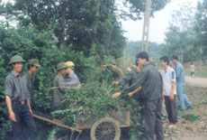 Lực lượng dân quân xã Nga Quán (Trấn Yên) cùng nhân dân thôn Hồng Hà dọn dẹp hành lang vành đai khu 
quân sự. (Ảnh: Lại Tấn)

