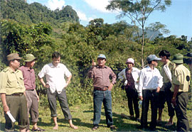 Phó chủ tịch Thường trực UBND tỉnh kiểm tra tình hình trồng tre Điền Trúc xâm lân đất rừng tại tiểu khu 505 thuộc thôn Dạ, xã Thượng Bằng La, huyện Văn Chấn.