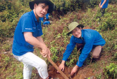 Đoàn viên thanh niên Cục thuế tỉnh Yên Bái giúp nhân dân xã Bản Công (Trạm Tấu) trồng rừng phòng hộ.