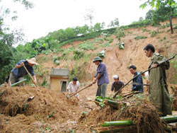 Đã có 119 ngôi nhà bị nước cuốn và bị sập hoàn toàn, 168 ngôi nhà bị hư hỏng nặng.