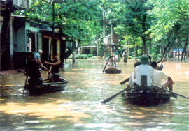 Phương tiện duy nhất đi lại được trong vùng lũ.