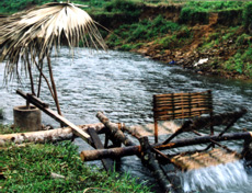 Cối nước giã gạo của người Tày ở Lương Thịnh (Trấn Yên).
