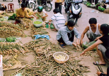 Tư thương đang mua gom măng sặt ở chợ Mường Lò, thị xã Nghĩa Lộ để mang đi tiêu thụ.
