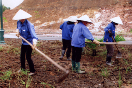 Nữ công nhân Công ty Công trình và Môi trường đô thị Yên Bái dọn dẹp vệ sinh đường phố.
