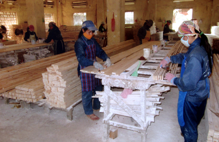 Công nhân một doanh nghiệp chế biến, sản xuất ván ghép thanh từ nguyên liệu gỗ rừng trồng ở Trấn Yên.
