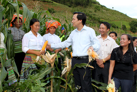 Bí thư Tỉnh ủy Đào Ngọc Dung kiểm tra tình hình sản xuất của đồng bào Mông ở xã Xà Hồ, huyện Trạm Tấu.