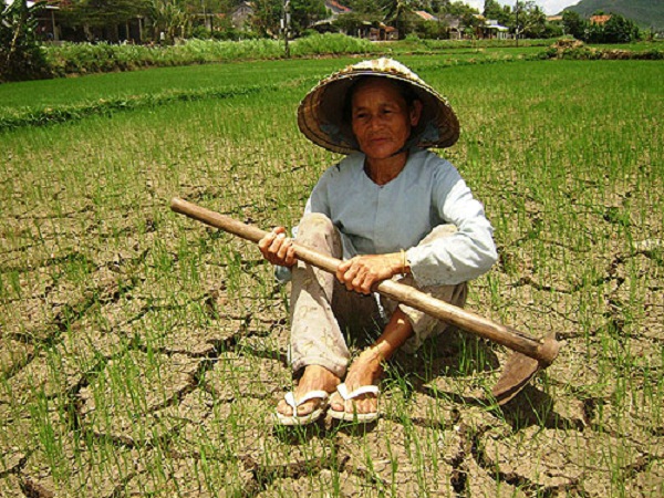 Khô hạn kéo dài tại miền Trung và Tây Nguyên khiến người dân điêu đứng.