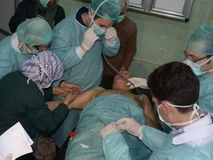 Một người Syria được cho là bị tấn công hóa học đang được điều trị.