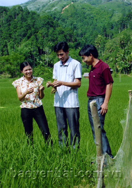 Anh Hoàng Đình Toản (đứng giữa) thăm đồng.