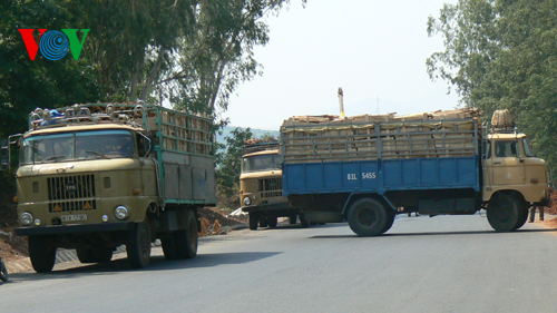 Nhiều xe tải quay đầu hoặc dừng lại để né trạm cân Sao Mai, thành phố Kon Tum.