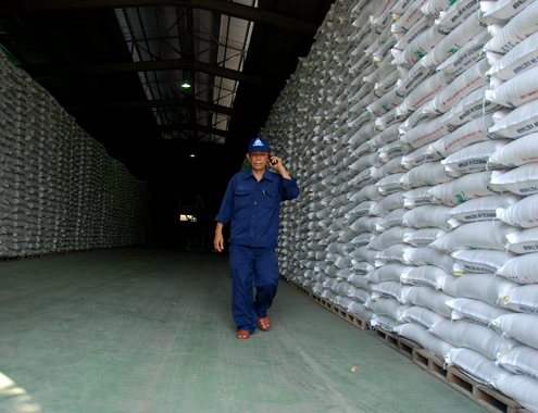 16.000 tấn đường đang tồn kho ở nhà máy đường Phổ Phong (Quảng Ngãi).