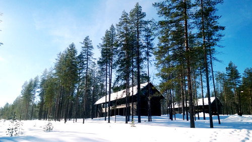 Mùa đông tuyết phủ dầy trên những khu đồi, những ngôi nhà gỗ nằm yên bình dướii rừng thông.