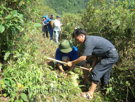 Đoàn viên, thanh niên xã Xà Hồ tham gia trồng rừng kinh tế.
