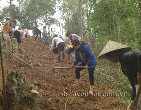 Người dân thị xã Nghĩa Lộ hưởng ứng tham gia xây dựng nông thôn mới.