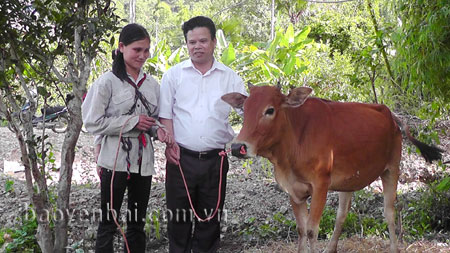 Đồng chí Hà Hữu Thế - Chủ tịch Ủy ban MTTQ huyện Văn Chấn trao bò cho hộ nghèo ở Bản Tạo, xã Đồng Khê.
(Ảnh: Minh Chiến)
