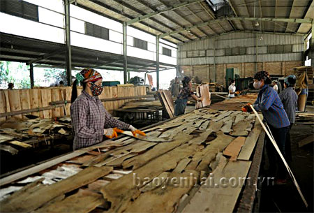 Sản xuất ván ép tại Công ty TNHH Quế Lâm (xã An Thịnh, Văn Yên).