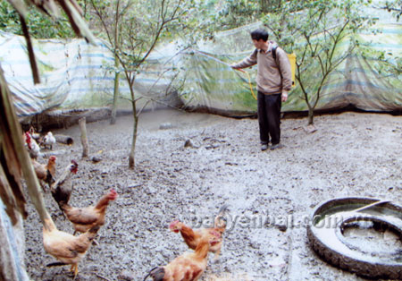 Cán bộ thú y huyện Văn Chấn phun thuốc khử trùng tiêu độc tại các điểm chợ.