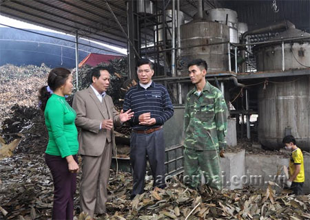 Lãnh đạo huyện Trấn Yên thăm xưởng chế biến tinh dầu quế của Hợp tác xã 6-12 ở xã Đào Thịnh.
