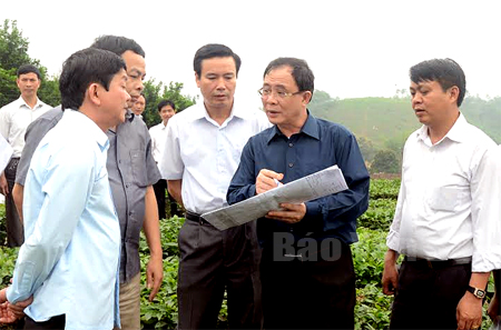 Đồng chí Bí thư Tỉnh ủy Phạm Duy Cường (thứ hai, bên phải sang) kiểm tra thực địa tại xã Thượng Bằng La về quy hoạch, kế hoạch sử dụng đất. (Ảnh: Đức Toàn)