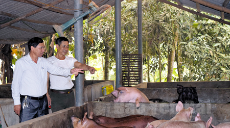 Đồng chí Nguyễn Mạnh Dần - Phó chủ tịch UBND xã, Trưởng Công an xã Vân Hội, huyện Trấn Yên (bên trái) thăm chuồng trại chăn nuôi lợn của hộ ông Phạm Văn Cử ở thôn 8.
