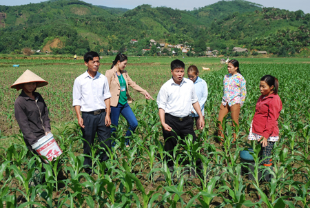 Đại biểu HĐND huyện Văn Yên kiểm tra, giám sát sản xuất nông nghiệp tại xã An Thịnh.
