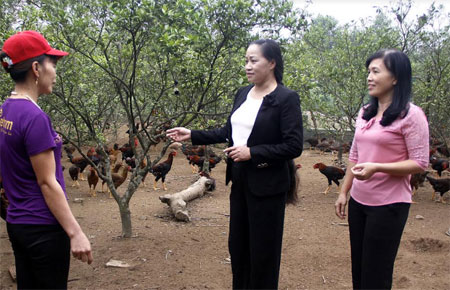 Chị Thủy (người đứng giữa) thăm mô hình phát triển kinh tế của gia đình hội viên phụ nữ thôn 3, thị trấn Cổ Phúc, huyện Trấn Yên.