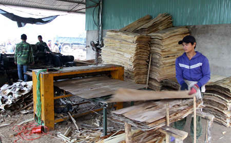 Phát triển trồng rừng gắn với chế biến gỗ đã mang lại hiệu quả kinh tế cao cho nhiều địa phương huyện Trấn Yên. (ảnh minh hoạ)