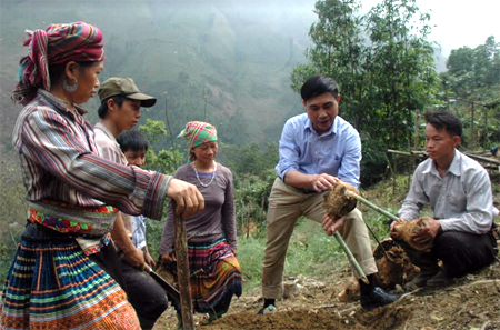 Bí thư Đảng ủy xã Hồng Ca - Hà Ngọc Toanh hướng dẫn người dân trồng tre măng Bát độ.
