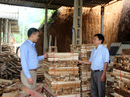Mô hình chế biến gỗ rừng trồng của gia đình anh Nguyễn Đức Toàn cho hiệu quả cao.