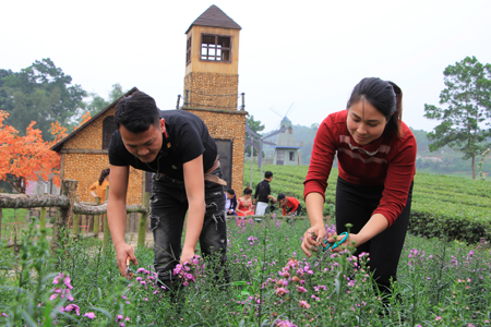 Vợ chồng chị Nguyễn Minh Hiền và anh Nguyễn Thành Trung chăm sóc vườn hoa tại phim trường.
