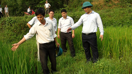 Lãnh đạo huyện Yên Bình kiểm tra công tác phòng chống ngập úng tại xã Văn Lãng.