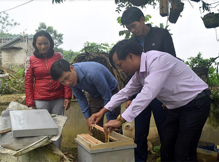 Lãnh đạo UBND phường Hợp Minh, Trạm Khuyến nông thành phố Yên Bái thăm một hộ nuôi ong của Dự án.